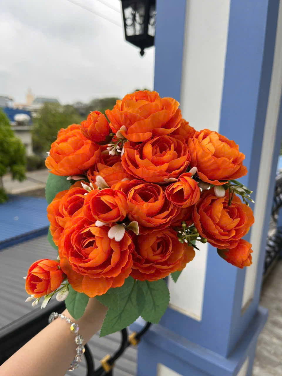 CỤM TRÀ NGỌC_thumbnail_12