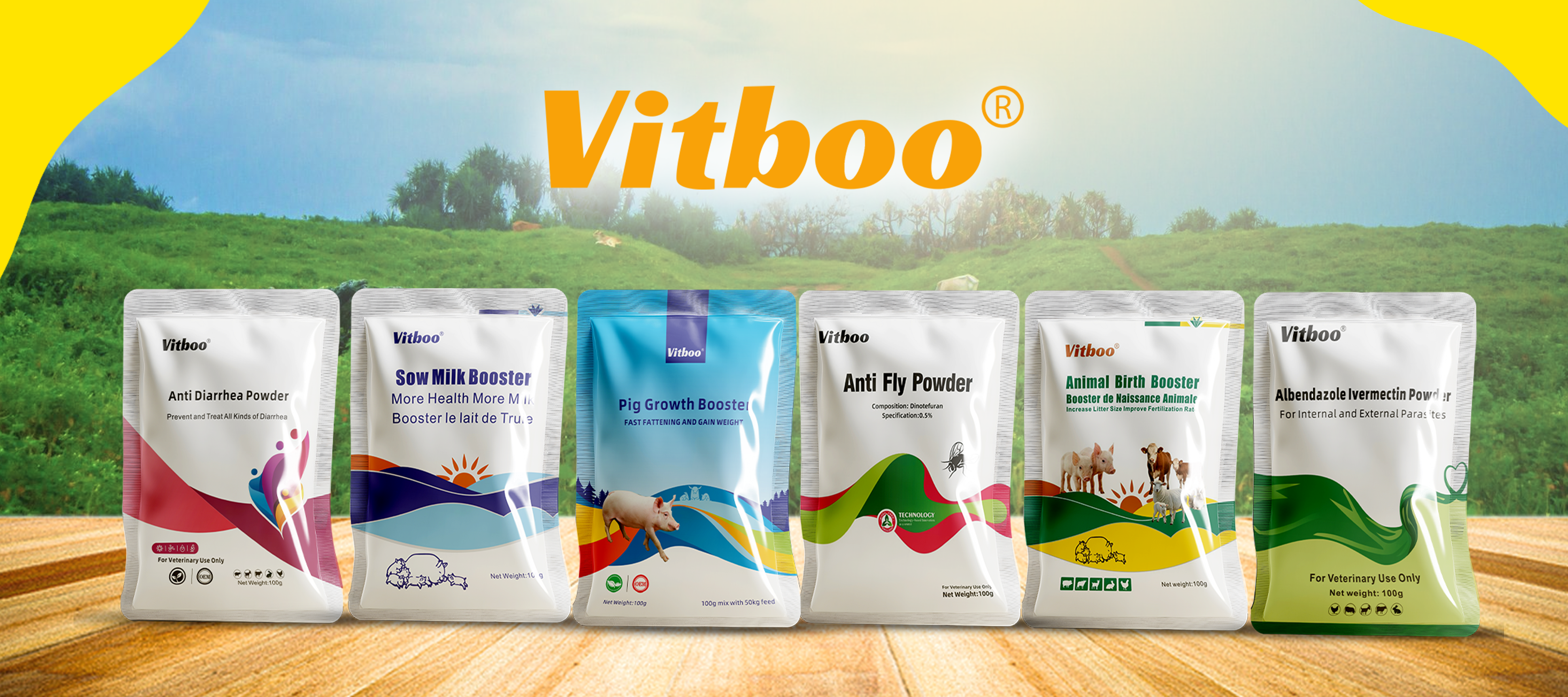 VITBOO BANNER(2)