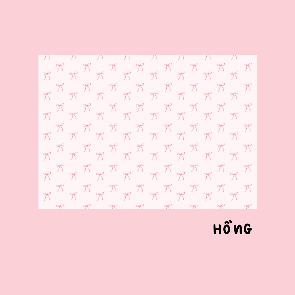 Giấy bao tập NƠ NHÍ Pastel Dễ Thương_thumbnail_5