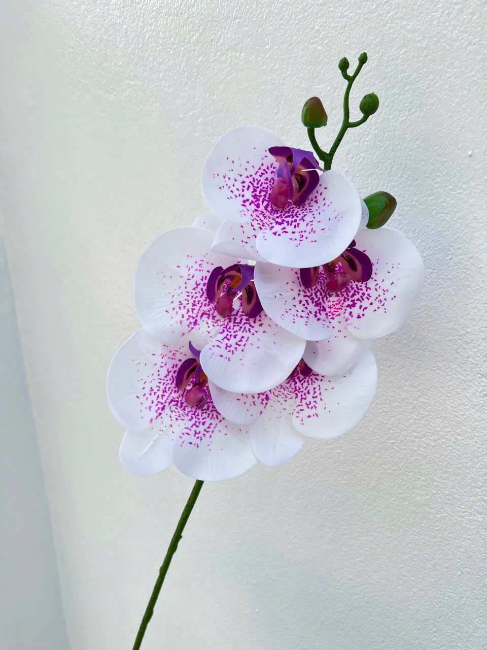Cành Lan Ướt 7 Bông Hoa Lụa Trang Trí Đám Cưới – Sang Trọng Như Hoa Thật, Decor Sự Kiện Cao Cấp, Bền Đẹp Tiết Kiệm_thumbnail_15