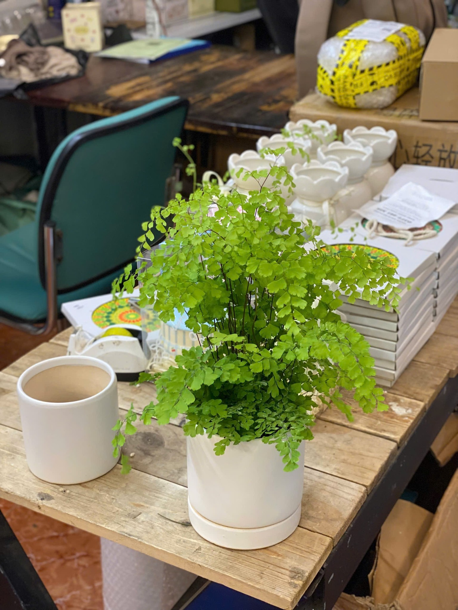 TÓC THẦN VỆ NỮ