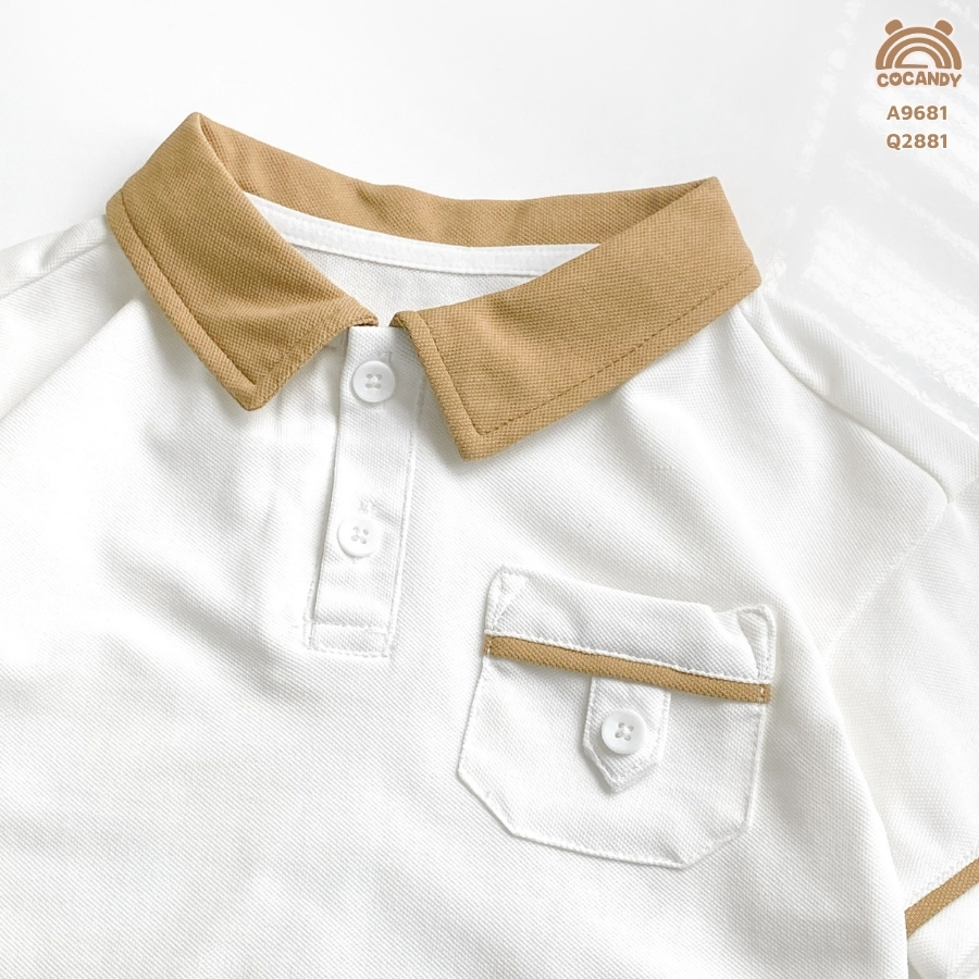 Áo cộc polo TRẮNG phối cổ nâu_thumbnail_3