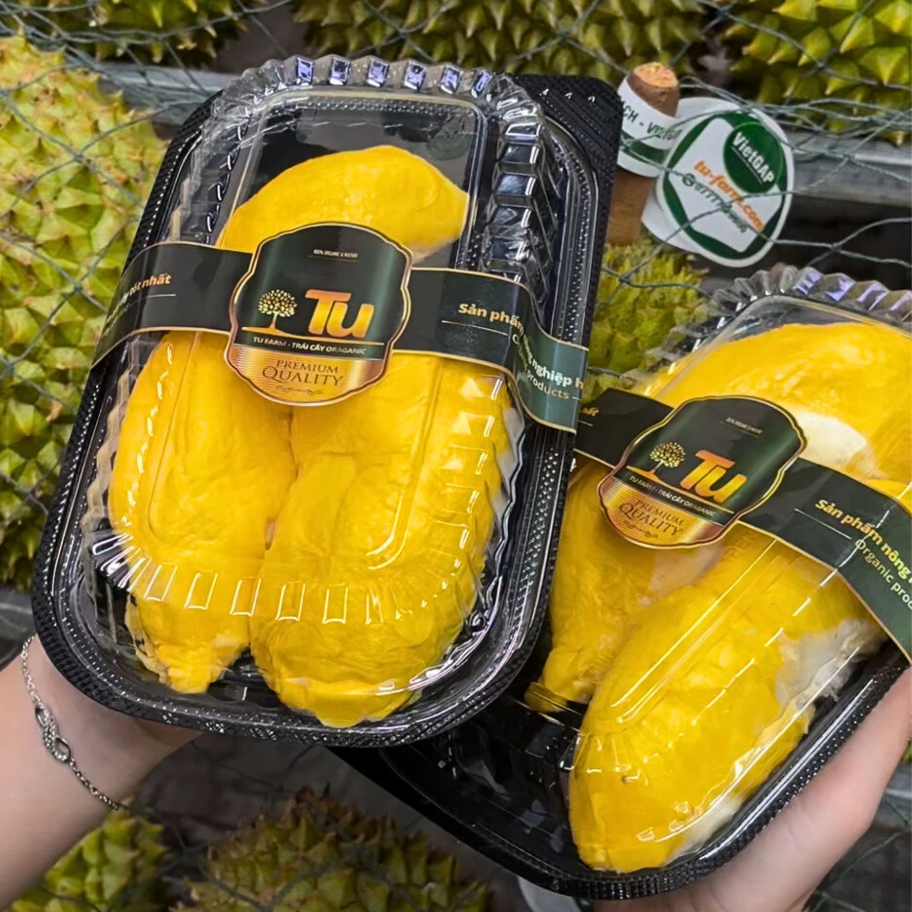 Trái - Sầu Riêng RM1 TU FARM ( GIỐNG MỚI )_thumbnail_2