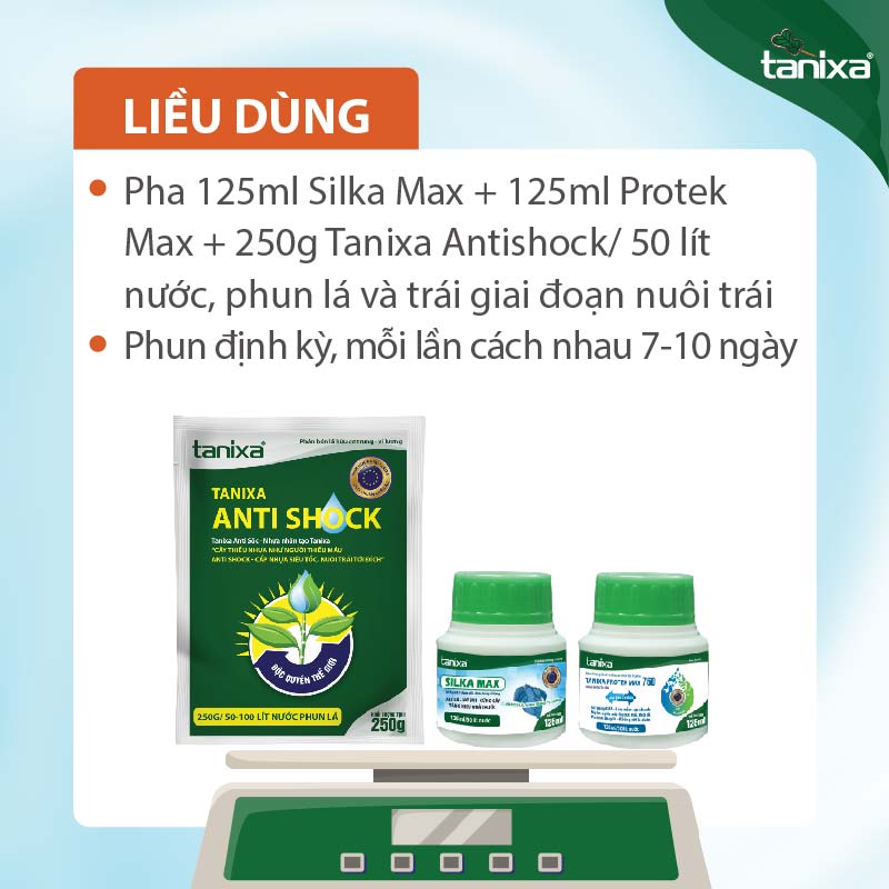 Bộ thúc trái - lên cơm Tanixa (nhỏ)_thumbnail_2