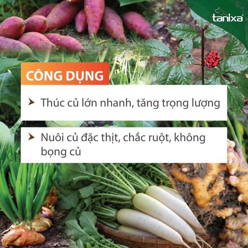 Bộ vô bột- chắc củ Tanixa_thumbnail_3