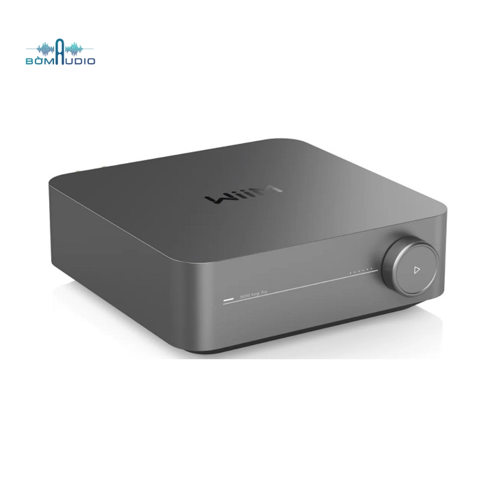 Network Streamer WIIM AMP PRO_thumbnail_1
