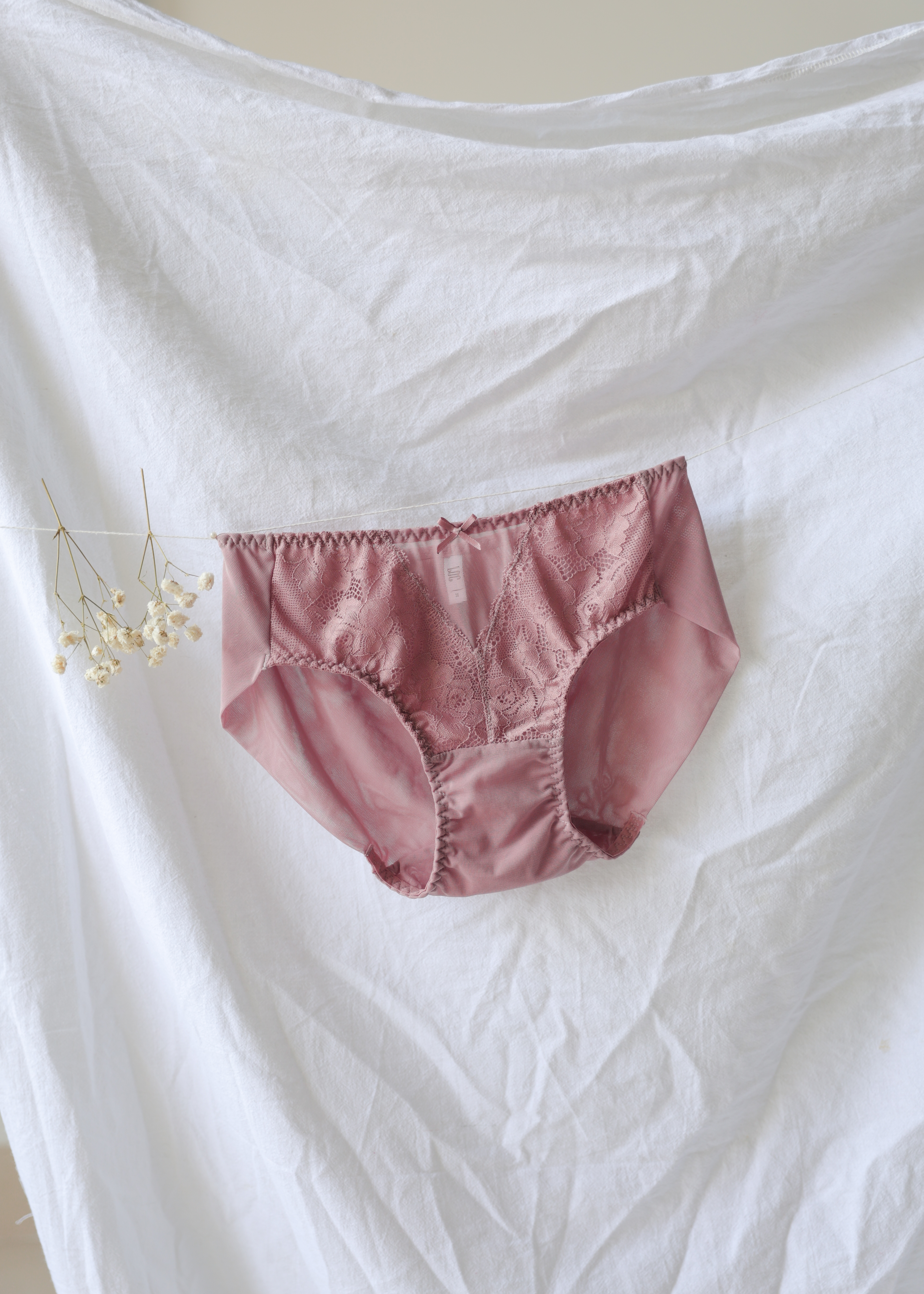 Quần Lót LOC PREMIUM Lưng Vừa Phối Ren Trà My