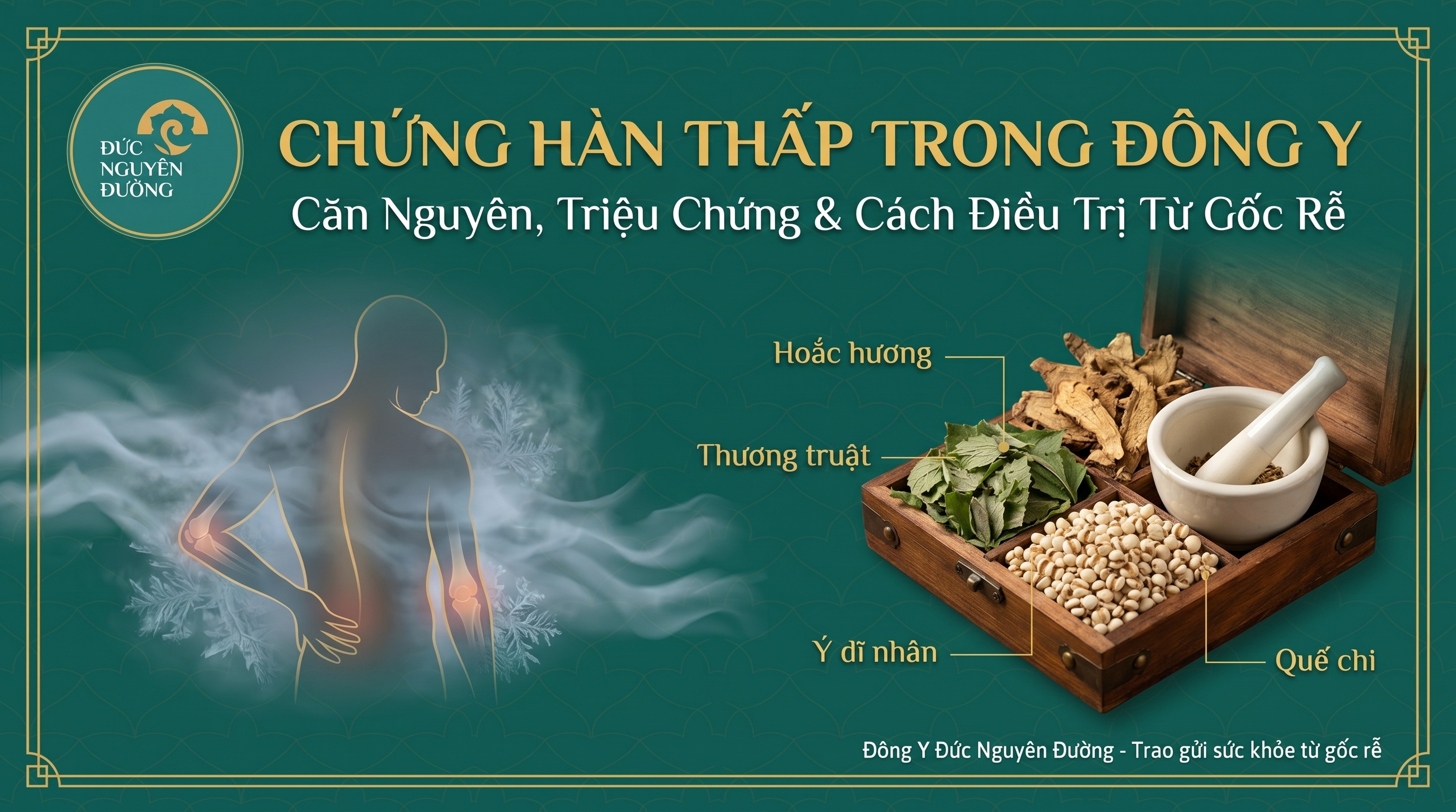 Chứng Hàn Thấp Trong Đông Y: Căn Nguyên, Triệu Chứng Và Cách Điều Trị Tận Gốc