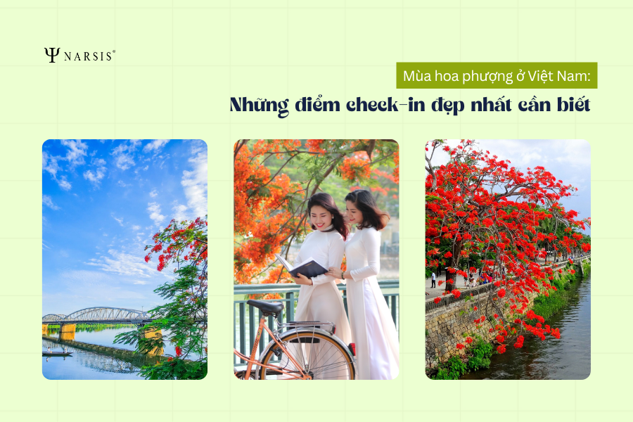Mùa hoa phượng ở Việt Nam: Những điểm check-in đẹp nhất cần biết