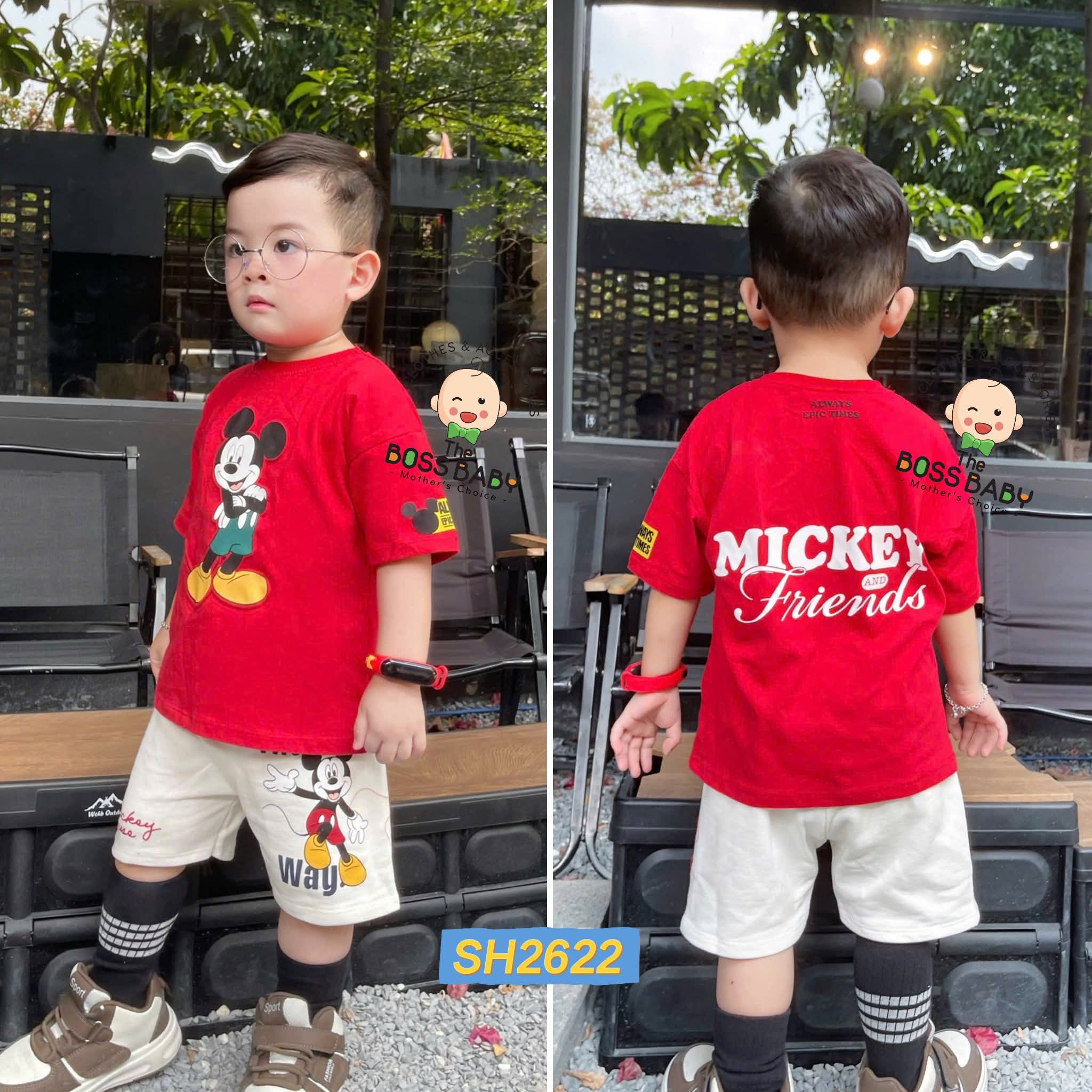Set bộ da cá đỏ mickey Friend