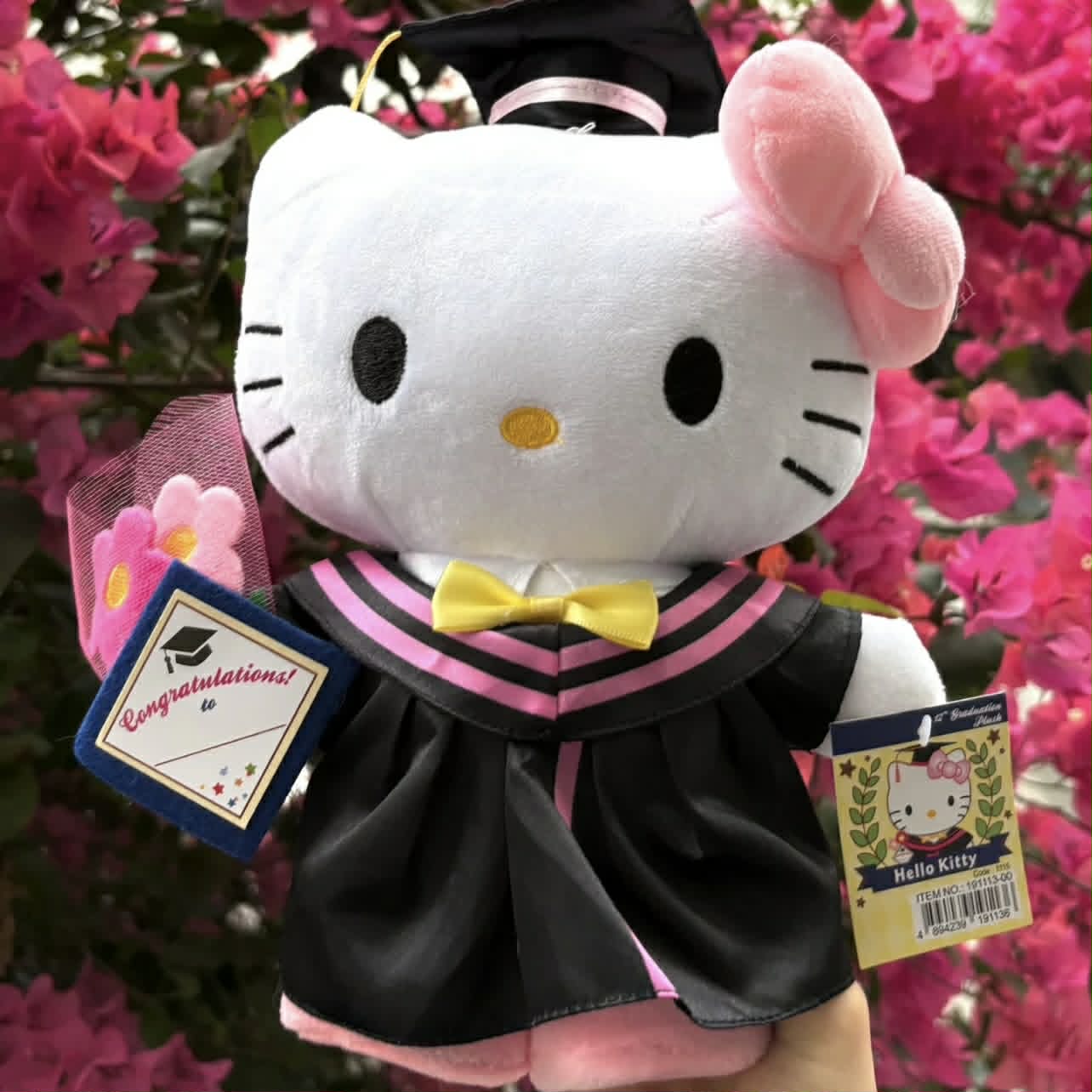 KITTY TỐT NGHIỆP
