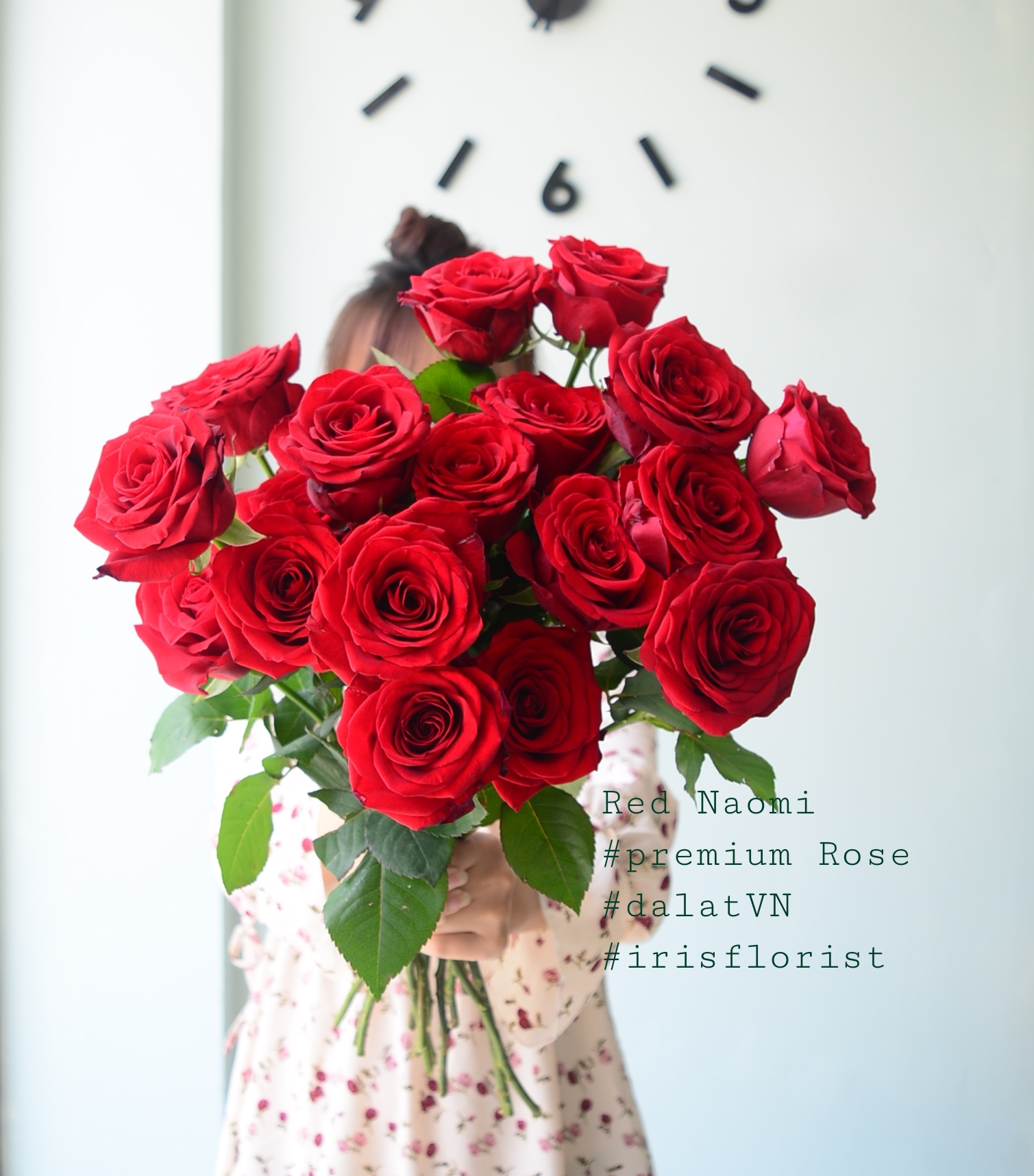 Premium Red Rose_7
