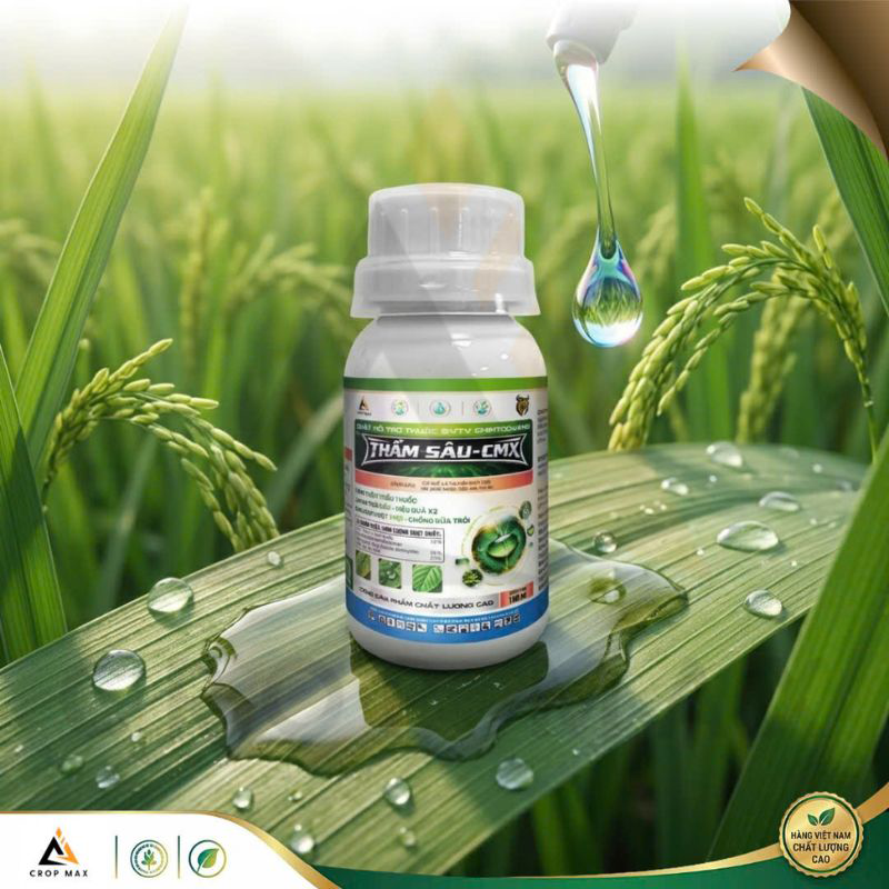 THẤM SÂU - CMX – Siêu thấm sâu, bám dính mạnh, chống rửa trôi hiệu quả_thumbnail_4