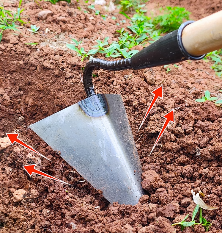 Cuốc Xới Đất - Vun Đậu Ngô - Xới Cỏ Tiện Dụng_thumbnail_8