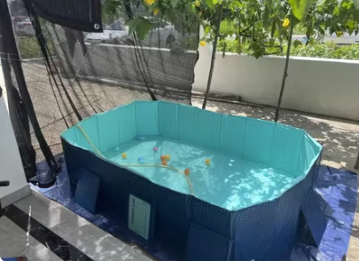 Bể Bơi Gấp Gọn Không Cần Bơm Hơi Cao Cấp_thumbnail_9