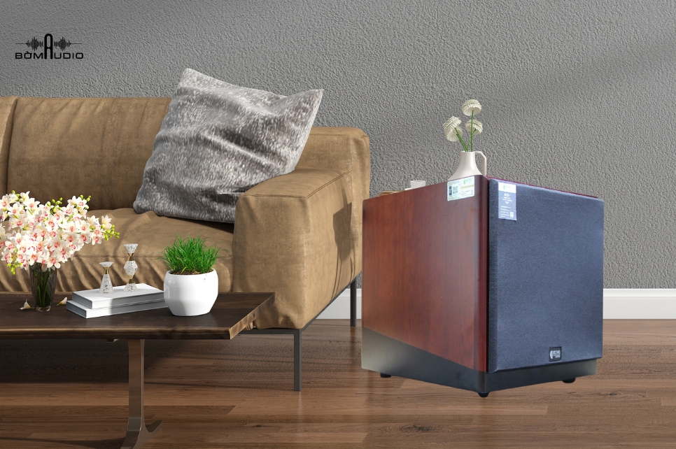 Đánh giá chi tiết loa subwoofer Kiwi S12+