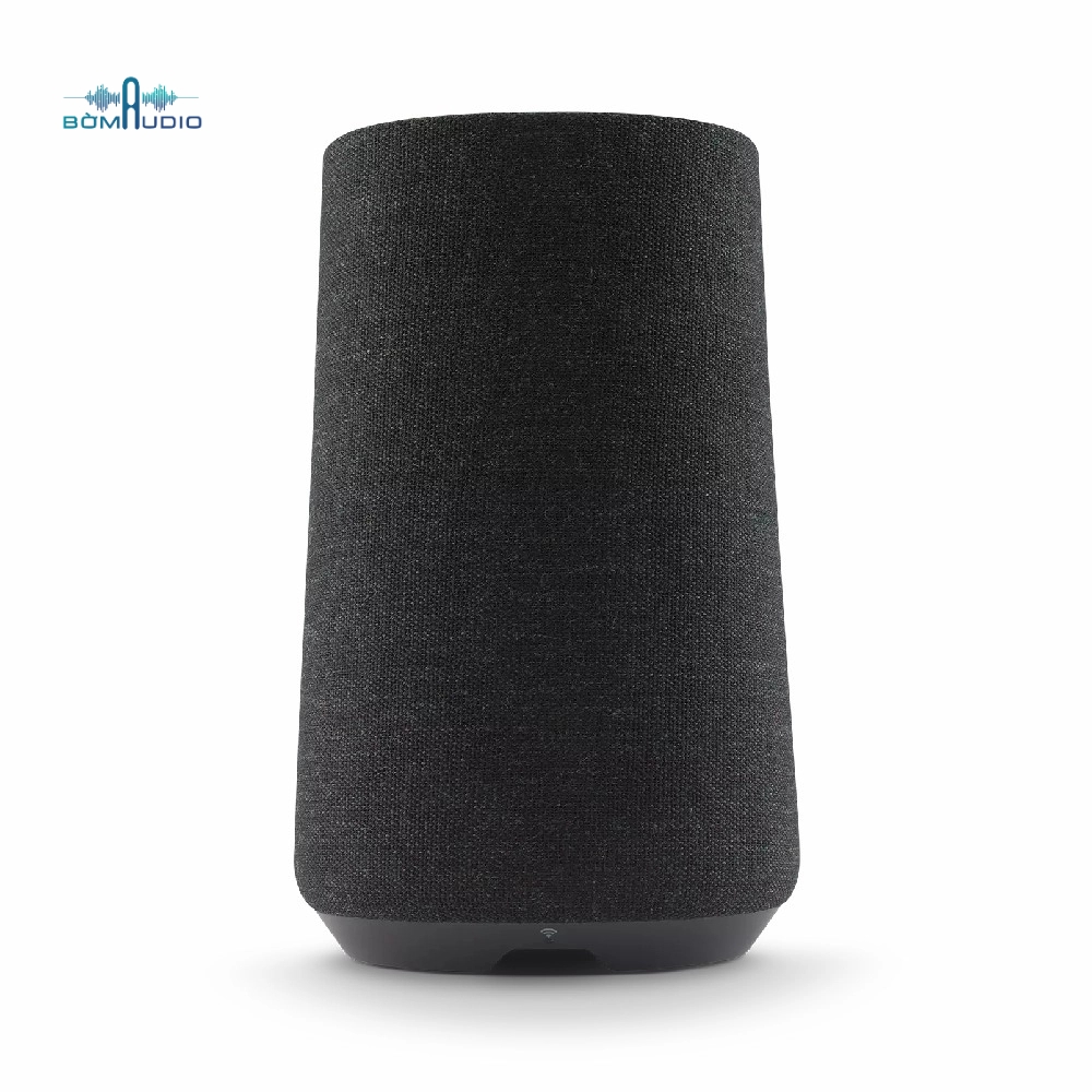 Loa Bluetooth HARMAN KARDON CITATION 100