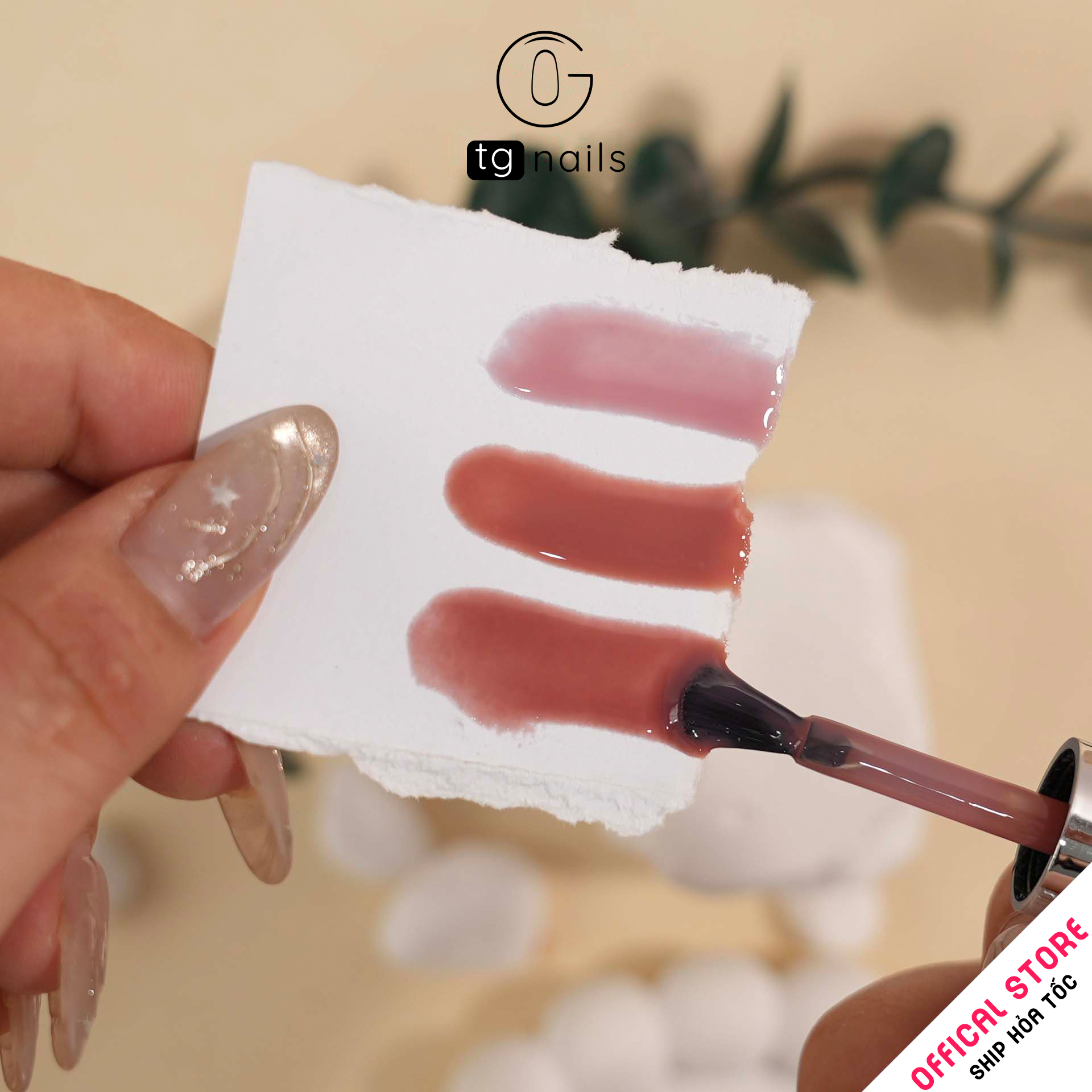 ComBo 12 màu Thạch Hồng TG - kèm bảng màu_thumbnail_6