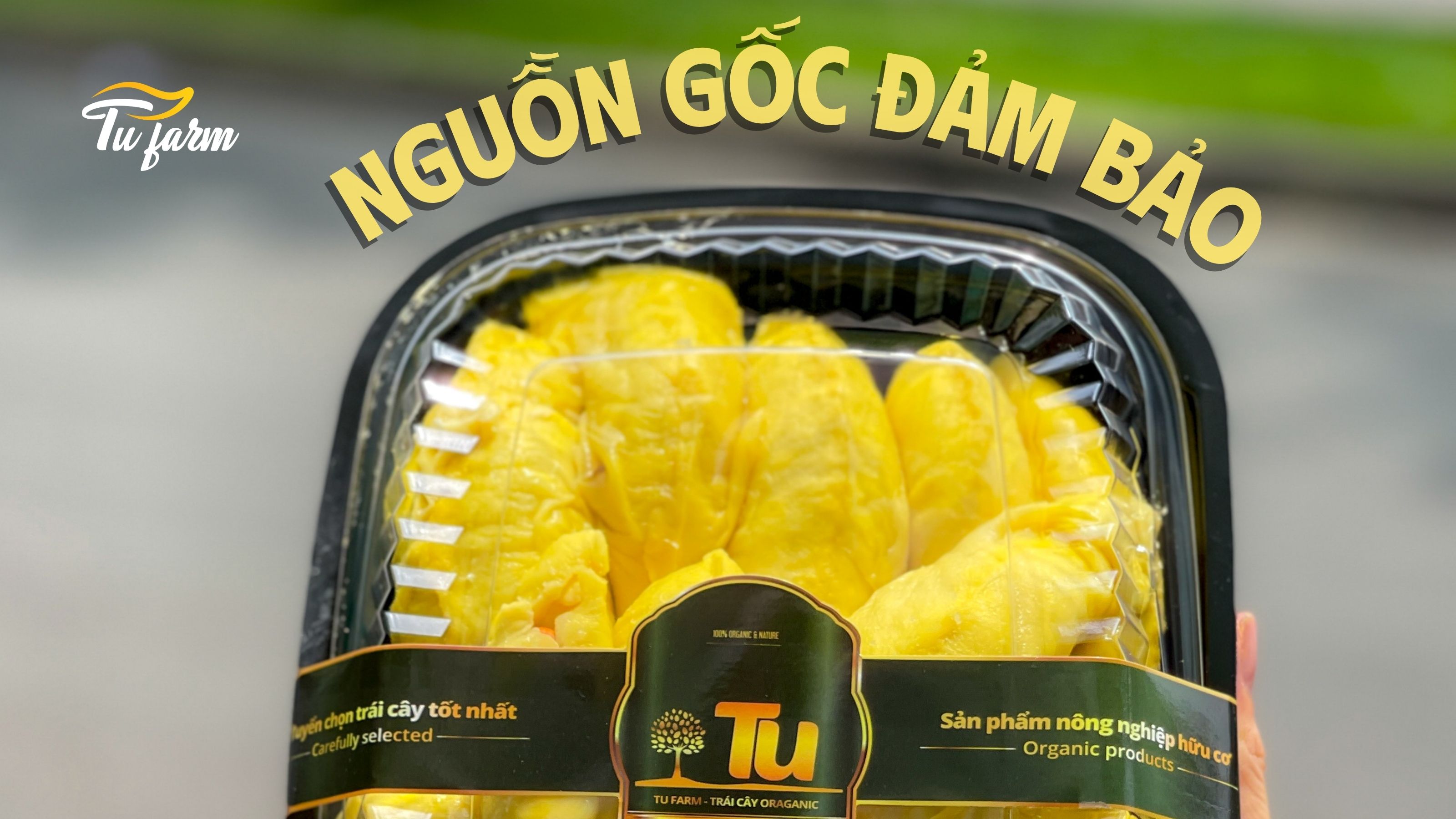 sầu riêng musang king là gì