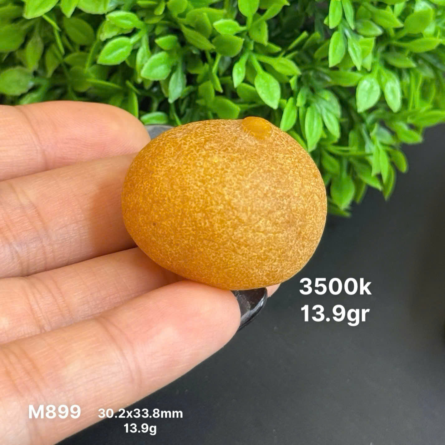 Viên Giọt Nguyên Vẹn Sự Tự Nhiên - M899