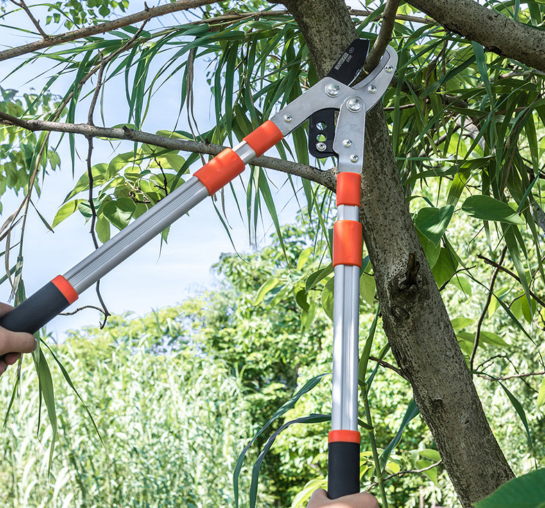 Kìm cắt cành canh SK5