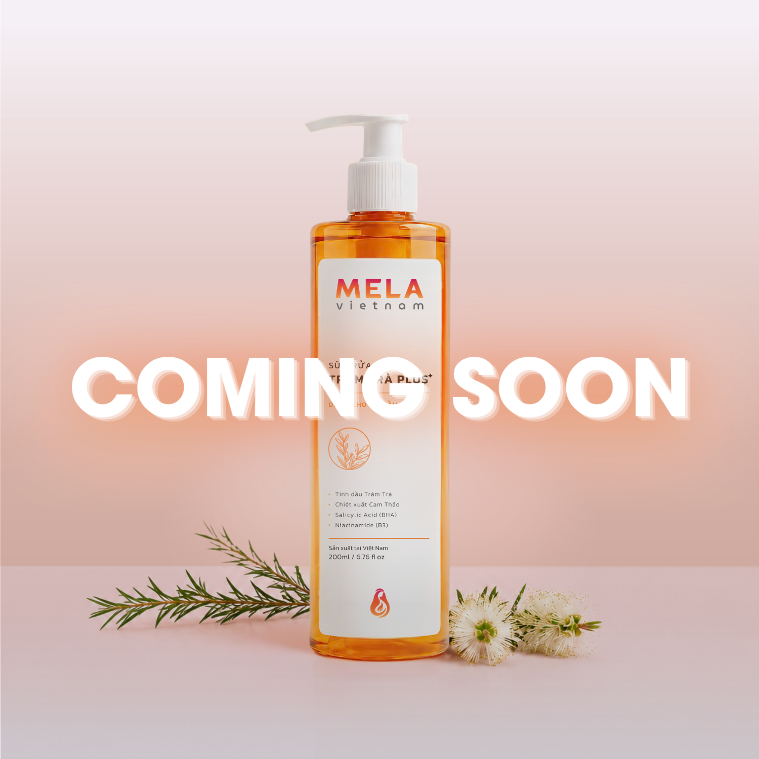 Sữa rửa mặt Tràm Trà Plus +