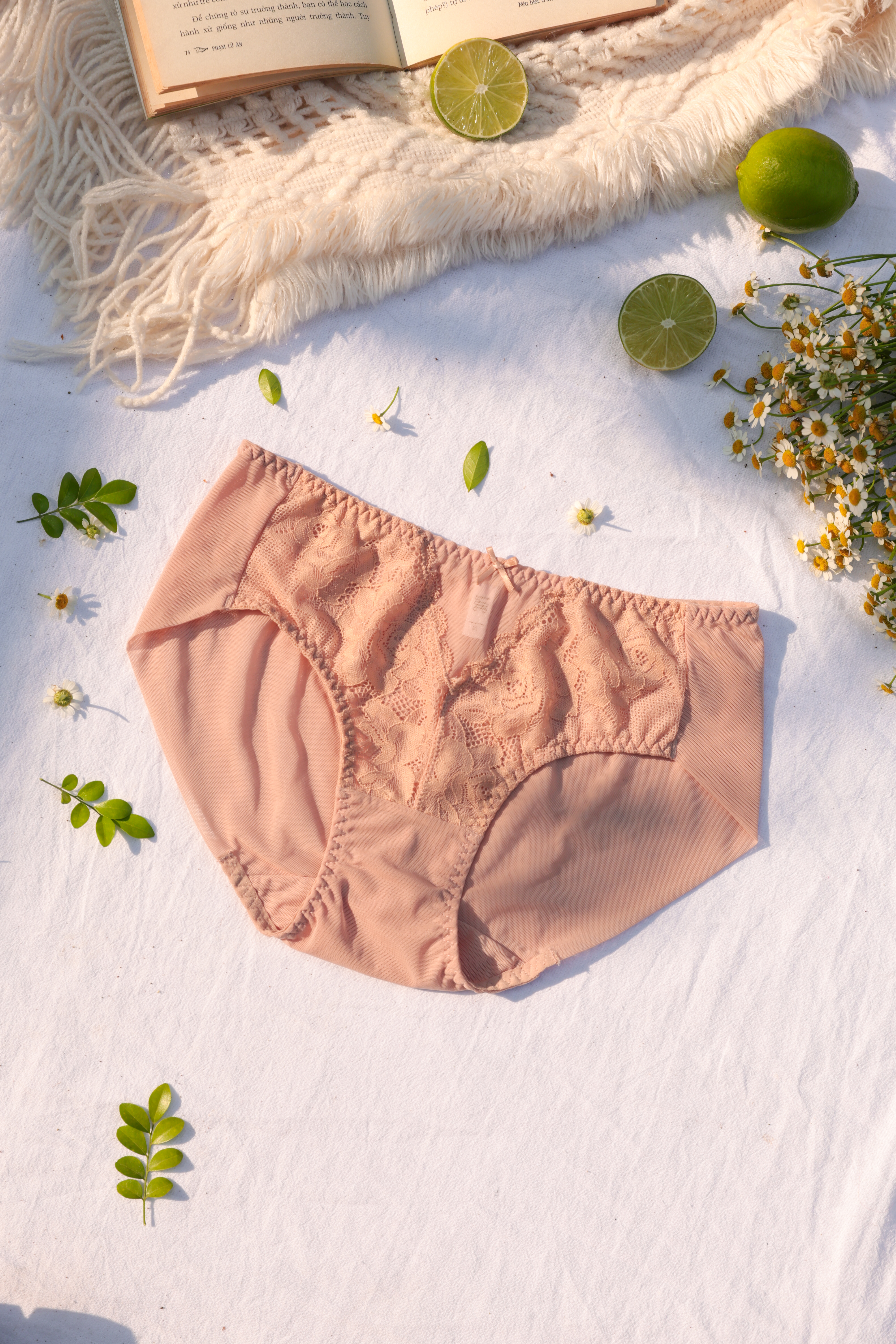 COMBO 3 Quần Lót LOC PREMIUM Lưng Vừa Phối Ren Trà My_thumbnail_4