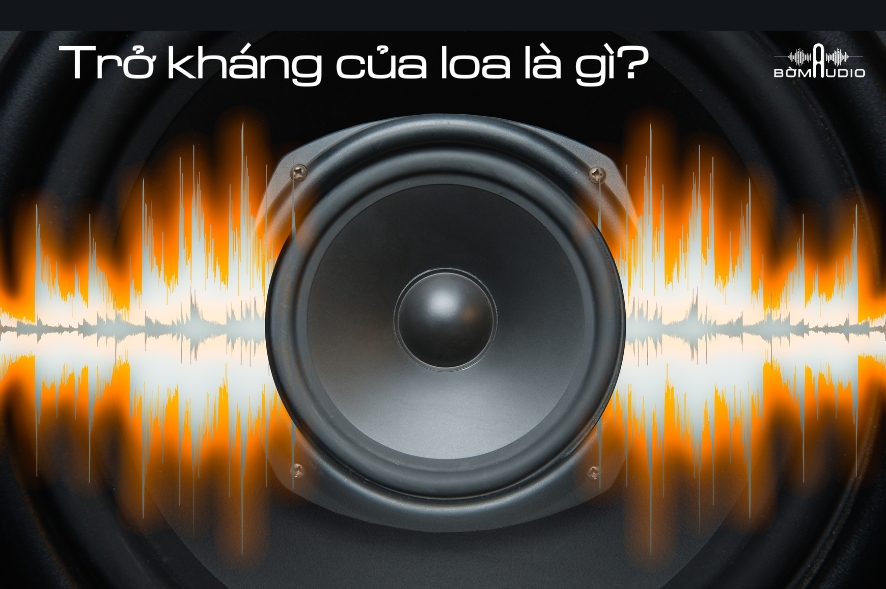 Trở Kháng Loa Là Gì? Những Điều Quan Trọng Bạn Cần Biết