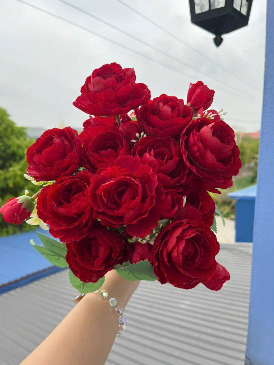 CỤM TRÀ NGỌC_thumbnail_2