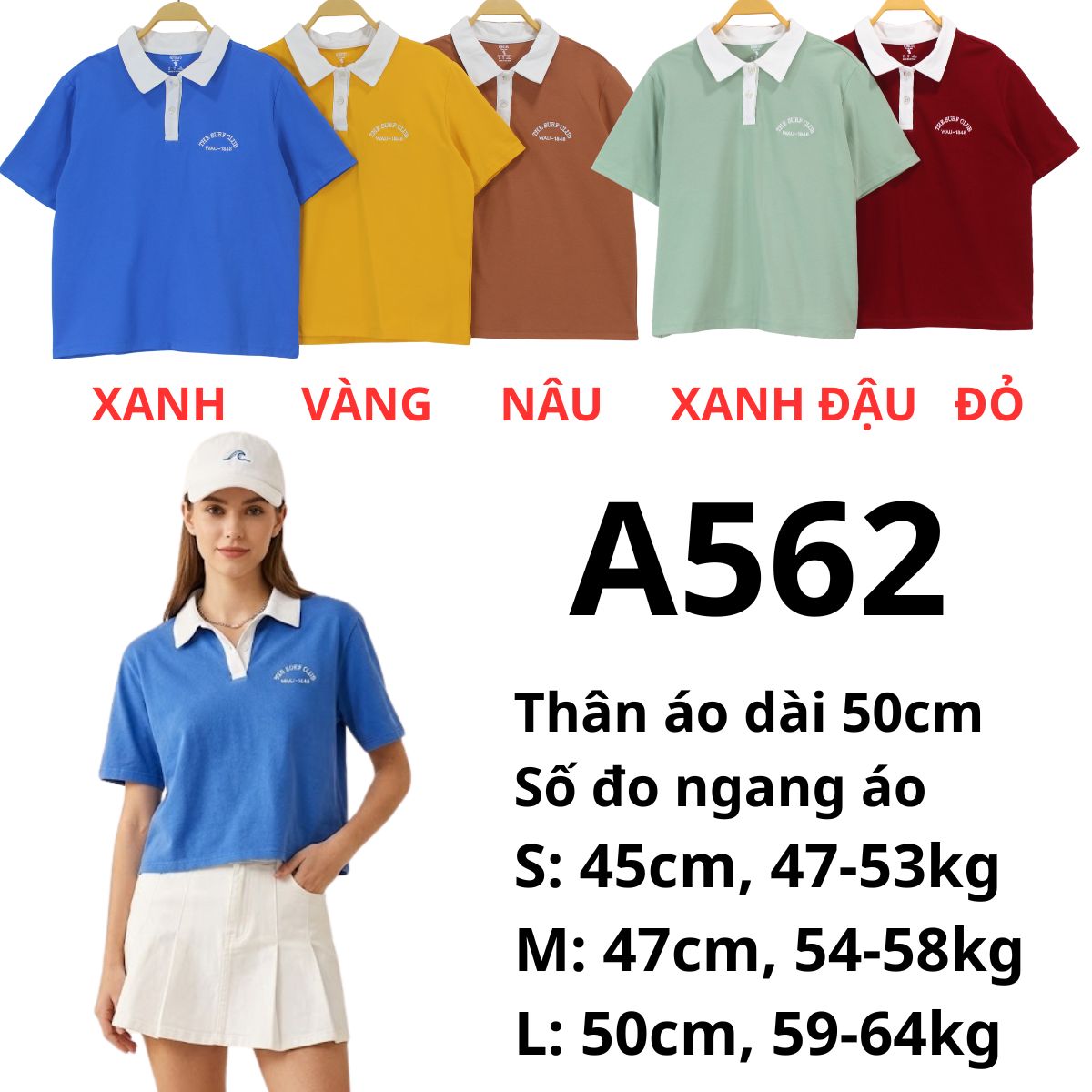 A562- Áo polo nữ