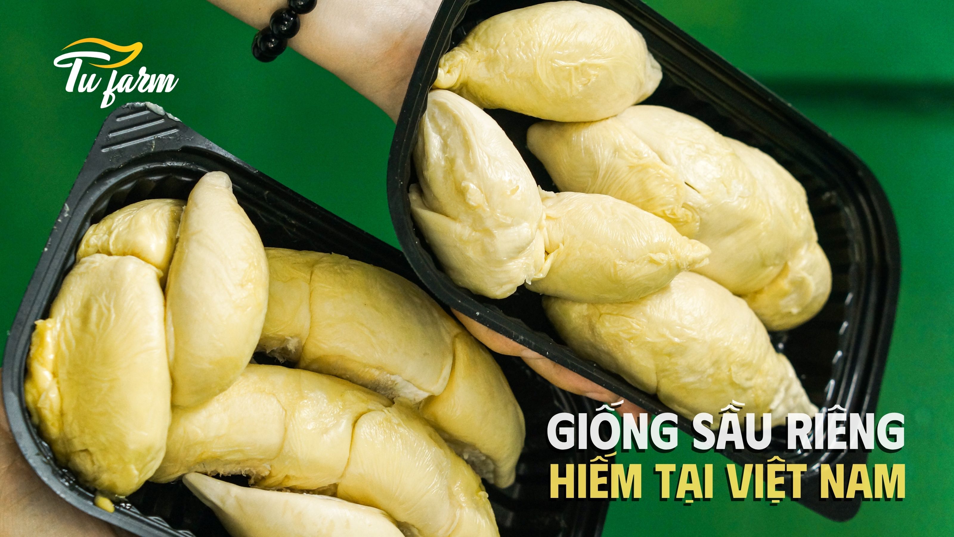 sầu riêng chuồng bò tách sẵn 