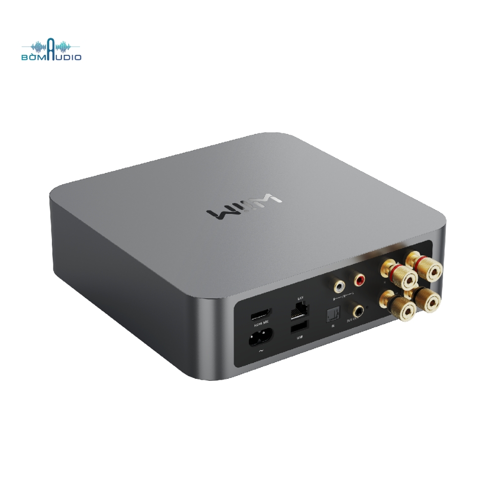 Music Streaming Amplifier WIIM AMP_thumbnail_6
