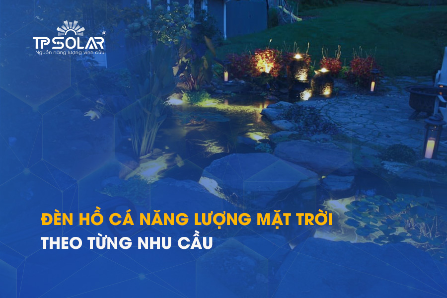 Đèn hồ cá năng lượng mặt trời phổ biến 2026 theo từng nhu cầu