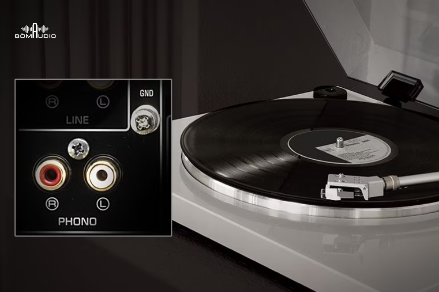 Tận hưởng bản RECORDS ưa thích