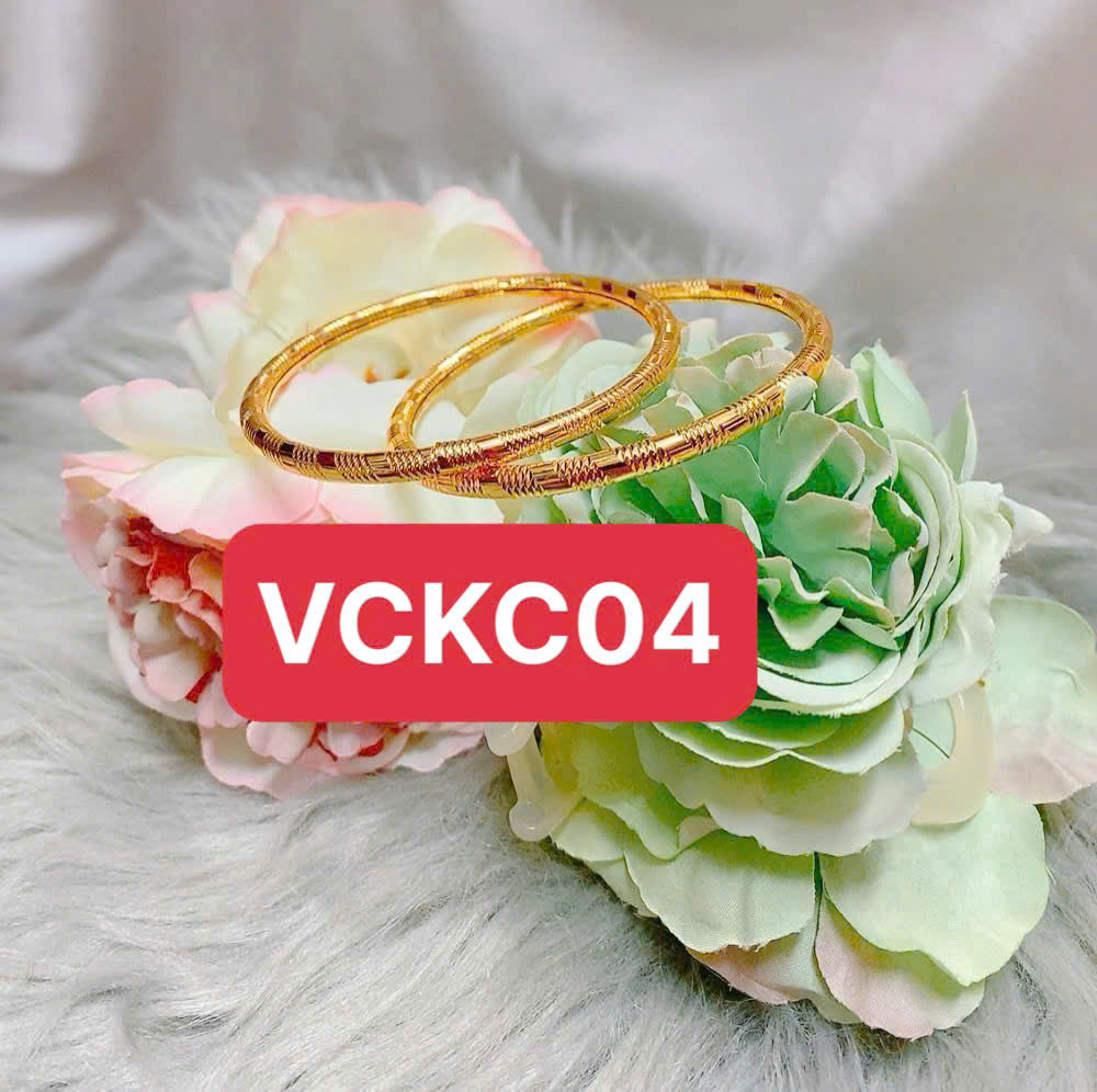 VC PanĐa V2