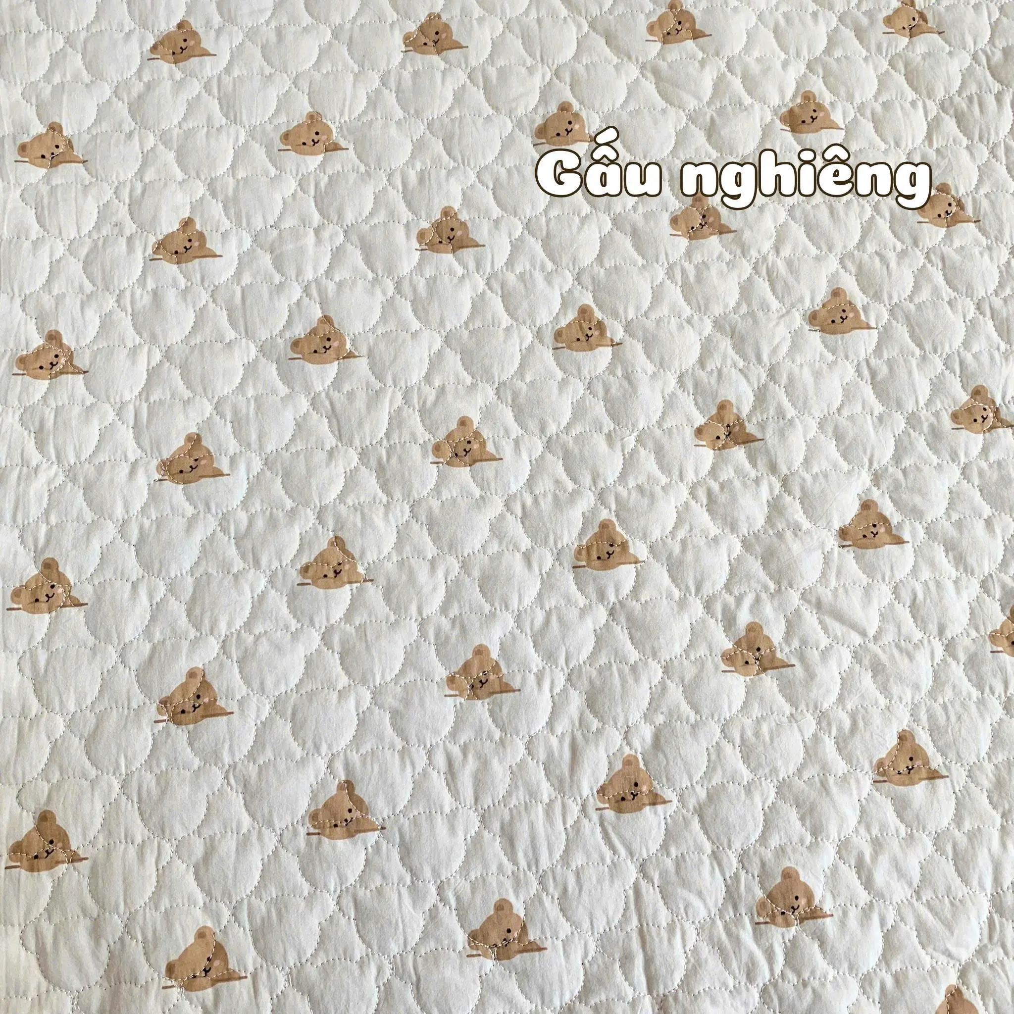 Combo 2 Món Nệm Xơ Dừa_thumbnail_10