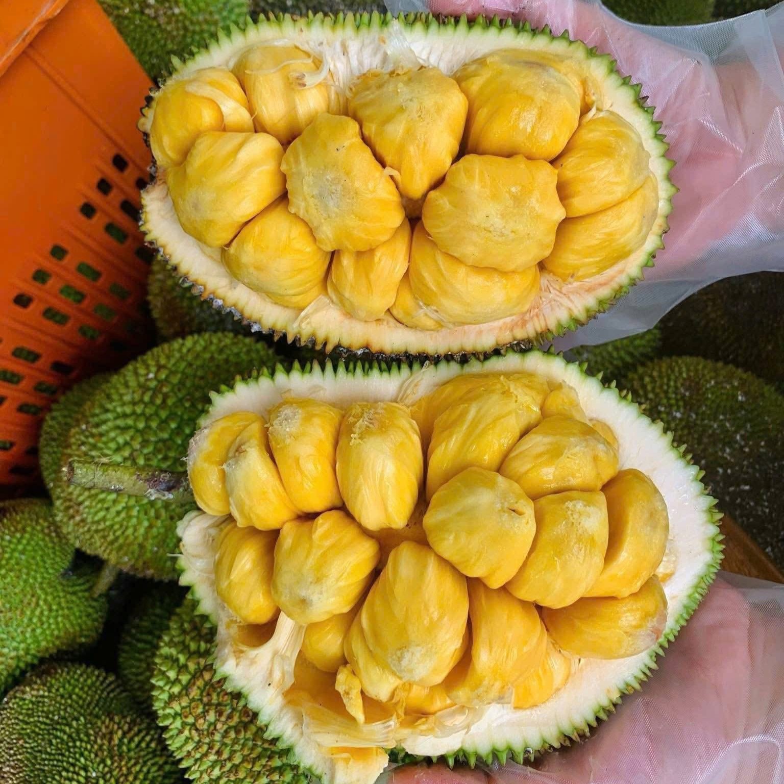 Mít Tố Nữ_thumbnail_1