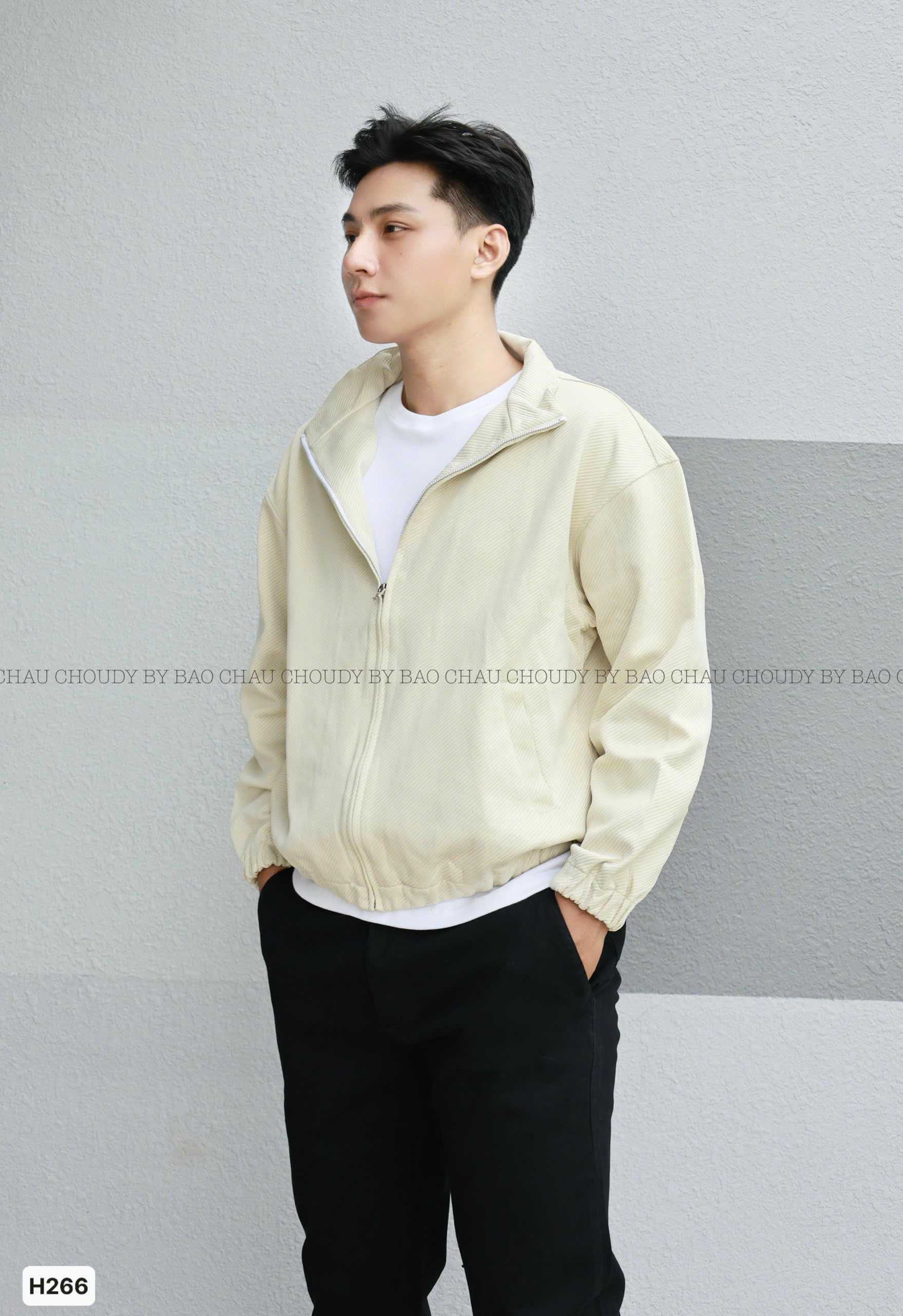 SALE H266_thumbnail_17