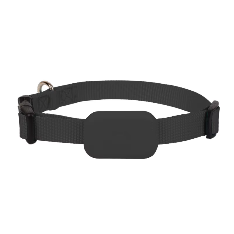 COLLAR CON GPS PARA MASCOTAS_thumbnail_1