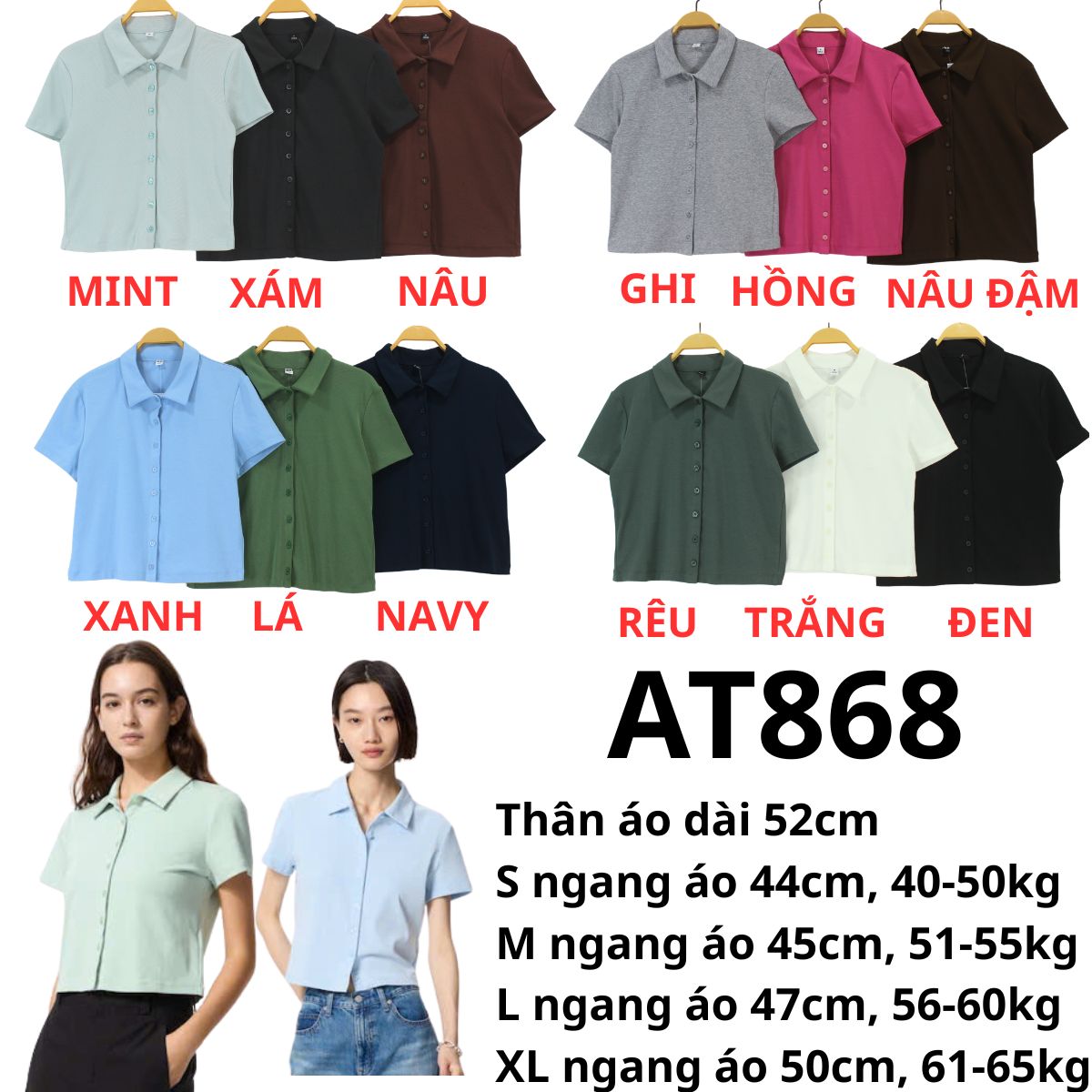 AT868- ÁO THUN CỔ BẺ