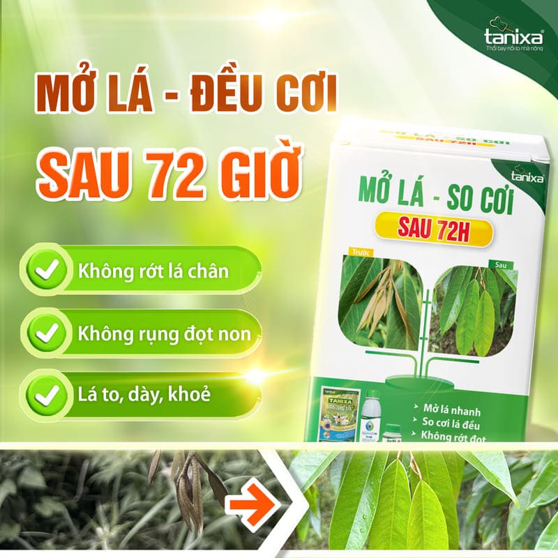 Bộ mở lá - So cơi Tanixa_thumbnail_1