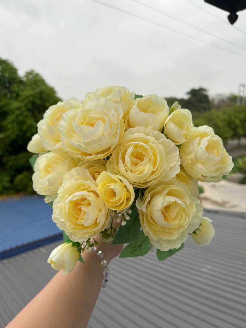 CỤM TRÀ NGỌC_thumbnail_8