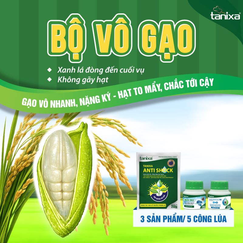 Bộ vô gạo Tanixa_thumbnail_9