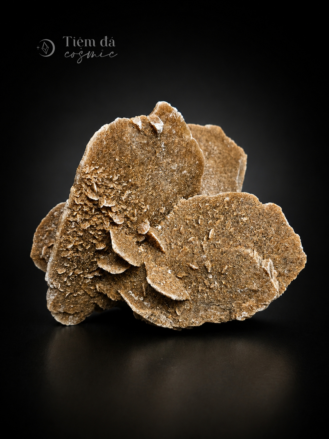 Tinh Thể Hoa Hồng Sa Mạc Desert Rose (có phản ứng UV) - Nội Mông