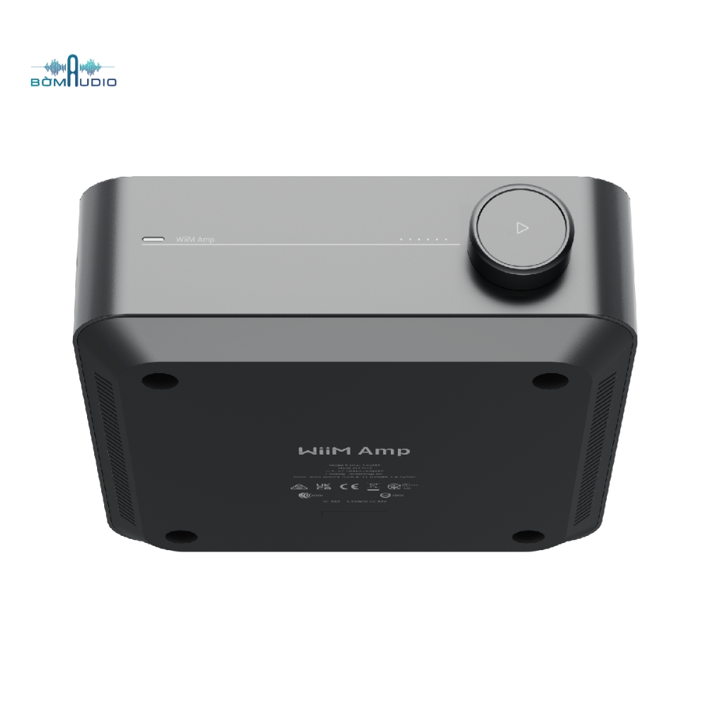 Music Streaming Amplifier WIIM AMP_thumbnail_4