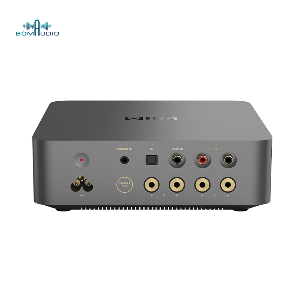 Amply WIIM VIBELINK AMP_thumbnail_4