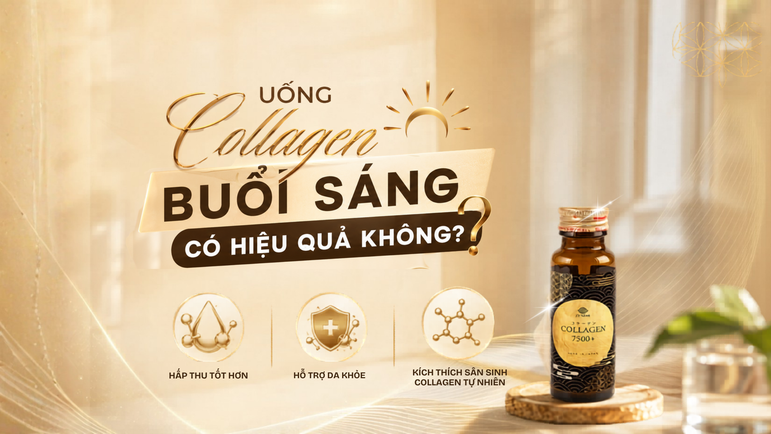Collagen uống buổi sáng được không hay đang làm giảm hiệu quả mà không biết?