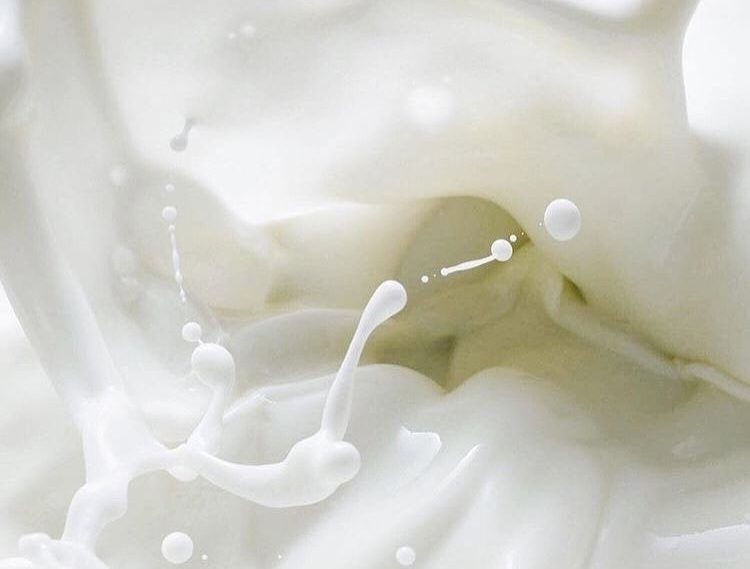 milk