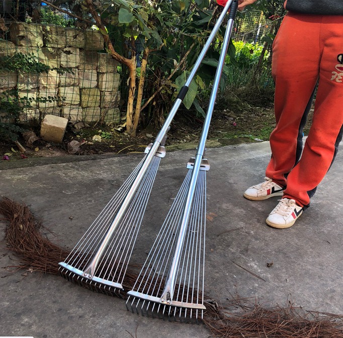 Chổi Cào Lá Cây_thumbnail_2