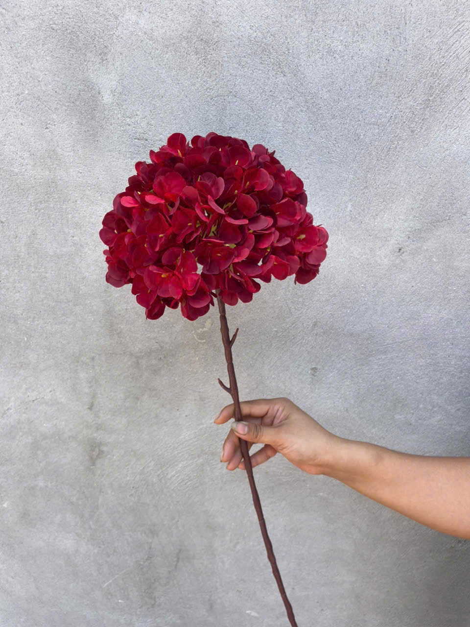 Hoa tú cầu liền cổ lụa cao cấp đẹp như thật, cắm bình sang trọng – decor đám cưới, sự kiện cực dễ_thumbnail_4